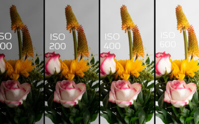 Wie Sie mit den richtigen ISO-Werten bessere Fotos machen