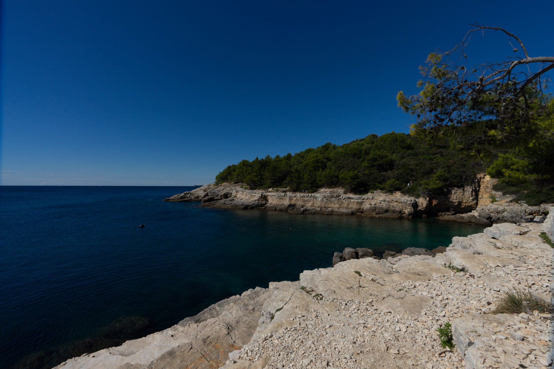 Mario Will Fotografie Kroatien Istrien Rovinj -718
